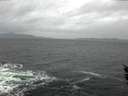 ./images/koeye/fitz-hugh/20160205/fitz-hugh20160205_122102.jpg