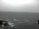 ./images/koeye/fitz-hugh/20160205/fitz-hugh20160205_140001.jpg