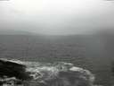 ./images/koeye/fitz-hugh/20160205/fitz-hugh20160205_160002.jpg