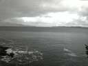 ./images/koeye/fitz-hugh/20160206/fitz-hugh20160206_072705.jpg