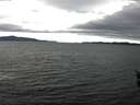 ./images/koeye/fitz-hugh/20160207/fitz-hugh20160207_112706.jpg