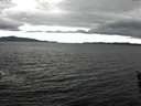 ./images/koeye/fitz-hugh/20160207/fitz-hugh20160207_122101.jpg