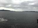 ./images/koeye/fitz-hugh/20160208/fitz-hugh20160208_122701.jpg