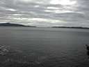 ./images/koeye/fitz-hugh/20160208/fitz-hugh20160208_140003.jpg