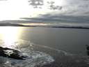 ./images/koeye/fitz-hugh/20160208/fitz-hugh20160208_160002.jpg