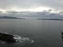 ./images/koeye/fitz-hugh/20160210/fitz-hugh20160210_095705.jpg
