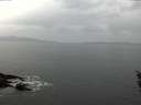 ./images/koeye/fitz-hugh/20160210/fitz-hugh20160210_105705.jpg
