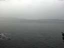 ./images/koeye/fitz-hugh/20160210/fitz-hugh20160210_120003.jpg