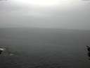 ./images/koeye/fitz-hugh/20160210/fitz-hugh20160210_121206.jpg