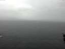 ./images/koeye/fitz-hugh/20160210/fitz-hugh20160210_125703.jpg