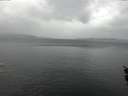 ./images/koeye/fitz-hugh/20160210/fitz-hugh20160210_132702.jpg