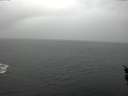 ./images/koeye/fitz-hugh/20160210/fitz-hugh20160210_140003.jpg