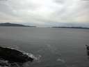 ./images/koeye/fitz-hugh/20160211/fitz-hugh20160211_085705.jpg