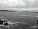 ./images/koeye/fitz-hugh/20160211/fitz-hugh20160211_120001.jpg