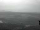 ./images/koeye/fitz-hugh/20160211/fitz-hugh20160211_135703.jpg