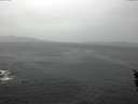 ./images/koeye/fitz-hugh/20160211/fitz-hugh20160211_140003.jpg