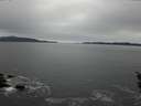 ./images/koeye/fitz-hugh/20160211/fitz-hugh20160211_165703.jpg