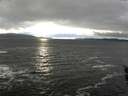 ./images/koeye/fitz-hugh/20160212/fitz-hugh20160212_165703.jpg