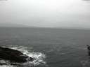 ./images/koeye/fitz-hugh/20160213/fitz-hugh20160213_102706.jpg