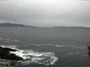 ./images/koeye/fitz-hugh/20160213/fitz-hugh20160213_121207.jpg
