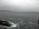 ./images/koeye/fitz-hugh/20160213/fitz-hugh20160213_122102.jpg