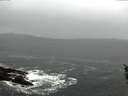 ./images/koeye/fitz-hugh/20160213/fitz-hugh20160213_125702.jpg