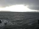 ./images/koeye/fitz-hugh/20160213/fitz-hugh20160213_145702.jpg