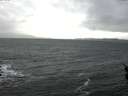 ./images/koeye/fitz-hugh/20160213/fitz-hugh20160213_152703.jpg