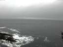 ./images/koeye/fitz-hugh/20160214/fitz-hugh20160214_085705.jpg