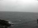 ./images/koeye/fitz-hugh/20160214/fitz-hugh20160214_105705.jpg