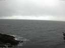 ./images/koeye/fitz-hugh/20160214/fitz-hugh20160214_112705.jpg