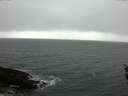 ./images/koeye/fitz-hugh/20160214/fitz-hugh20160214_121205.jpg