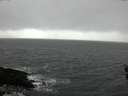 ./images/koeye/fitz-hugh/20160214/fitz-hugh20160214_121501.jpg
