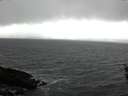 ./images/koeye/fitz-hugh/20160214/fitz-hugh20160214_122401.jpg