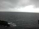 ./images/koeye/fitz-hugh/20160214/fitz-hugh20160214_140003.jpg