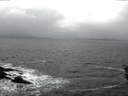 ./images/koeye/fitz-hugh/20160214/fitz-hugh20160214_145704.jpg