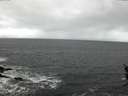 ./images/koeye/fitz-hugh/20160214/fitz-hugh20160214_165703.jpg