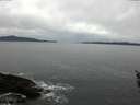 ./images/koeye/fitz-hugh/20160215/fitz-hugh20160215_135702.jpg