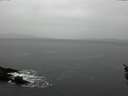 ./images/koeye/fitz-hugh/20160215/fitz-hugh20160215_155703.jpg