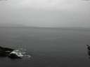 ./images/koeye/fitz-hugh/20160215/fitz-hugh20160215_160001.jpg