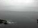 ./images/koeye/fitz-hugh/20160215/fitz-hugh20160215_162704.jpg