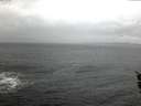 ./images/koeye/fitz-hugh/20160216/fitz-hugh20160216_072705.jpg