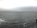 ./images/koeye/fitz-hugh/20160216/fitz-hugh20160216_080002.jpg