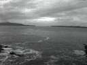 ./images/koeye/fitz-hugh/20160216/fitz-hugh20160216_182704.jpg