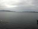 ./images/koeye/fitz-hugh/20160217/fitz-hugh20160217_092705.jpg