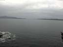 ./images/koeye/fitz-hugh/20160217/fitz-hugh20160217_095706.jpg