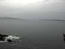 ./images/koeye/fitz-hugh/20160217/fitz-hugh20160217_112706.jpg