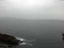 ./images/koeye/fitz-hugh/20160217/fitz-hugh20160217_155703.jpg