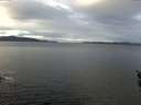 ./images/koeye/fitz-hugh/20160219/fitz-hugh20160219_085705.jpg