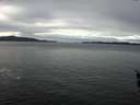 ./images/koeye/fitz-hugh/20160219/fitz-hugh20160219_105706.jpg